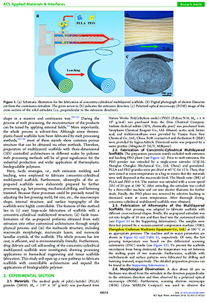 ACS Applied Materials & Interfaces 43513